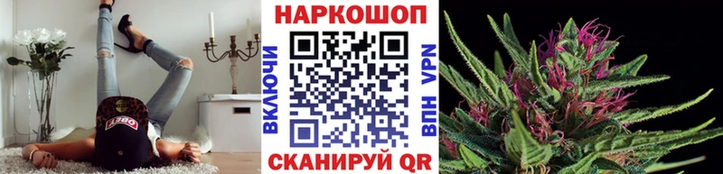Купить закладку Гашиш  Метадон  Меф мяу мяу  Каннабис  Alpha-PVP  АМФ  Ардатов