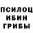 Псилоцибиновые грибы мухоморы DZINTARS DZINCA