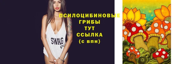 эйфоретик Баксан