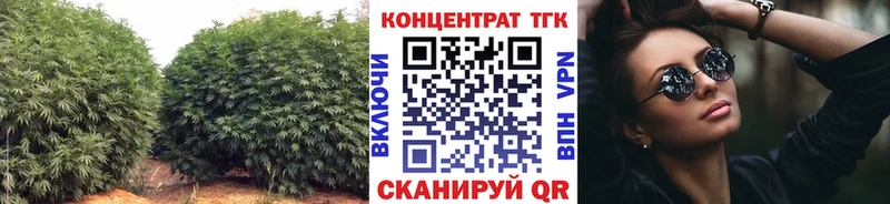 Купить закладки  Ардатов  Дистиллят ТГК концентрат 