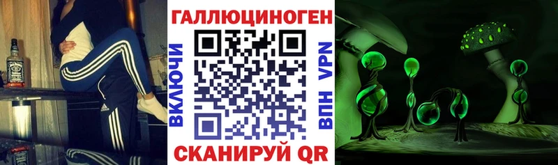 Купить закладки  Ардатов  Псилоцибиновые грибы Cubensis 